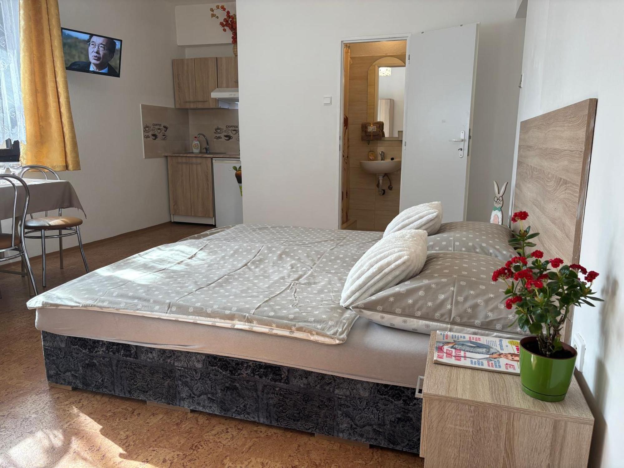 Apartmanovy Dom Grand Štúrovo المظهر الخارجي الصورة